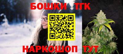 крисы Бийск