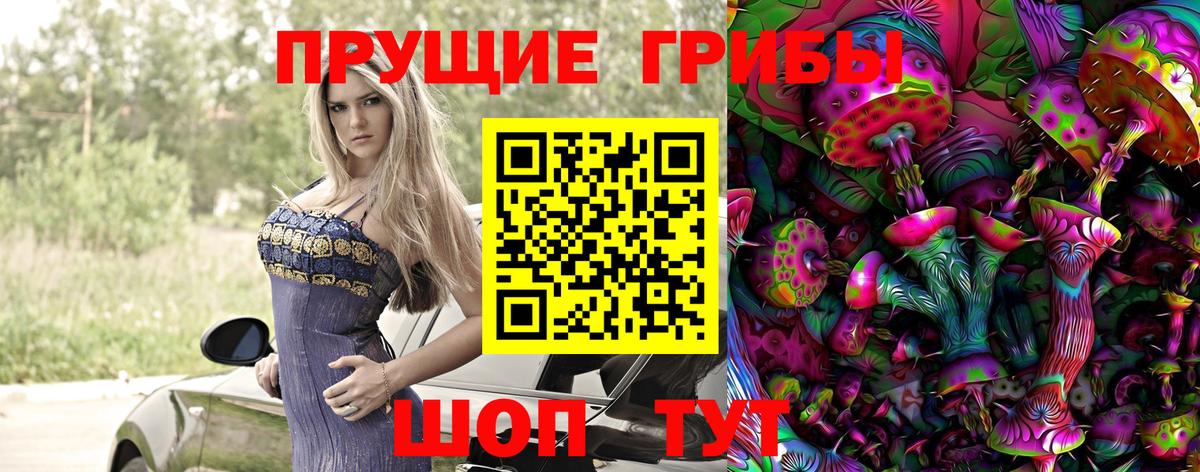 Камень-на-Оби  Псилоцибиновые грибы Psilocybine cubensis  Вход с VPN  Галлюциногенные грибы прущие грибы 